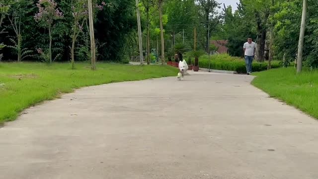 Run happily