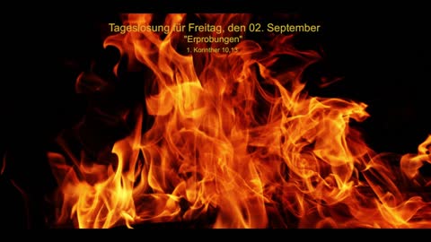 Tageslosung für Freitag, den 02. September