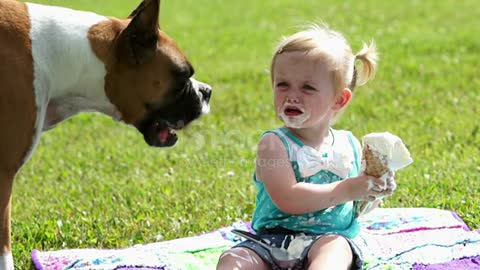 Dog and baby girl