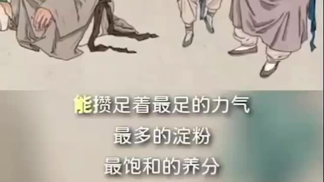 食物，是最好的養生保健醫師！“不時不食”，真的是“養身的好方法”～