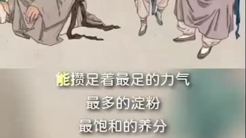 食物，是最好的養生保健醫師！“不時不食”，真的是“養身的好方法”～