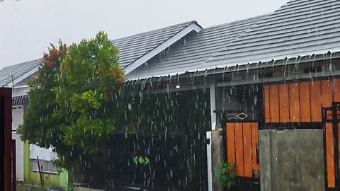 Rain is very big