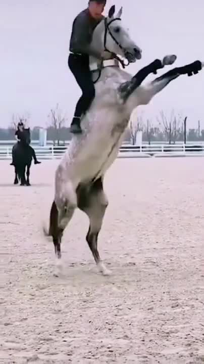 [CANAL VIRAL] - VÍDEOS INCRÍVEIS - E3 – #shorts