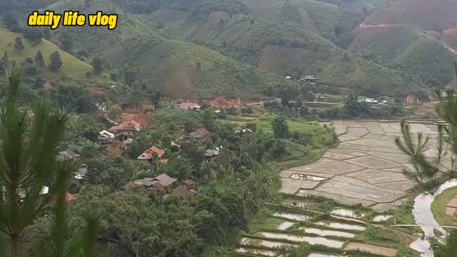 natural beauty of mountains and forests