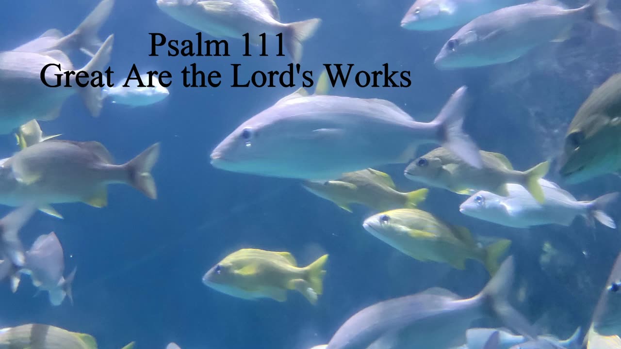 Psalm 111 - ESV Audio