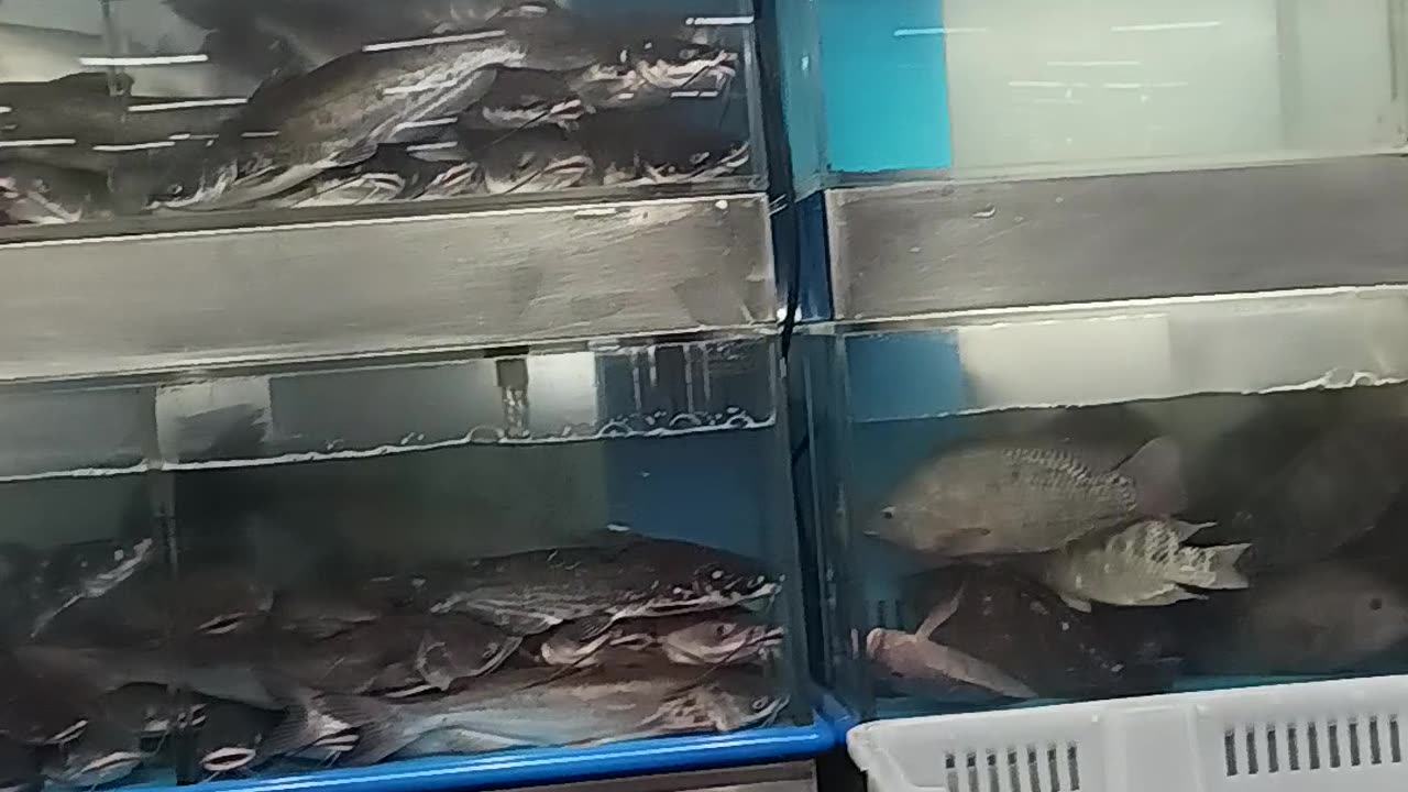 Seafood