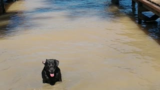 Mason swimming again