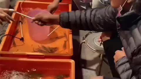 This is a beautiful and charming water-dwelling species