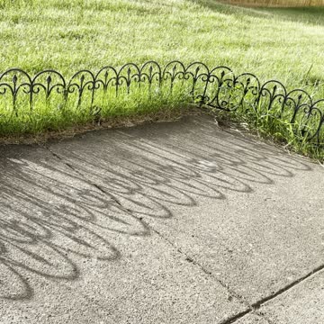 Cute baby bird ion it’s own