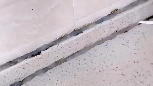 Removedor em gel