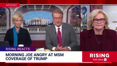 FULL SHOW: Trump And Harris TOSS-UP, Brazilians PROTEST X BAN, Morning Joe FUMING At MSM