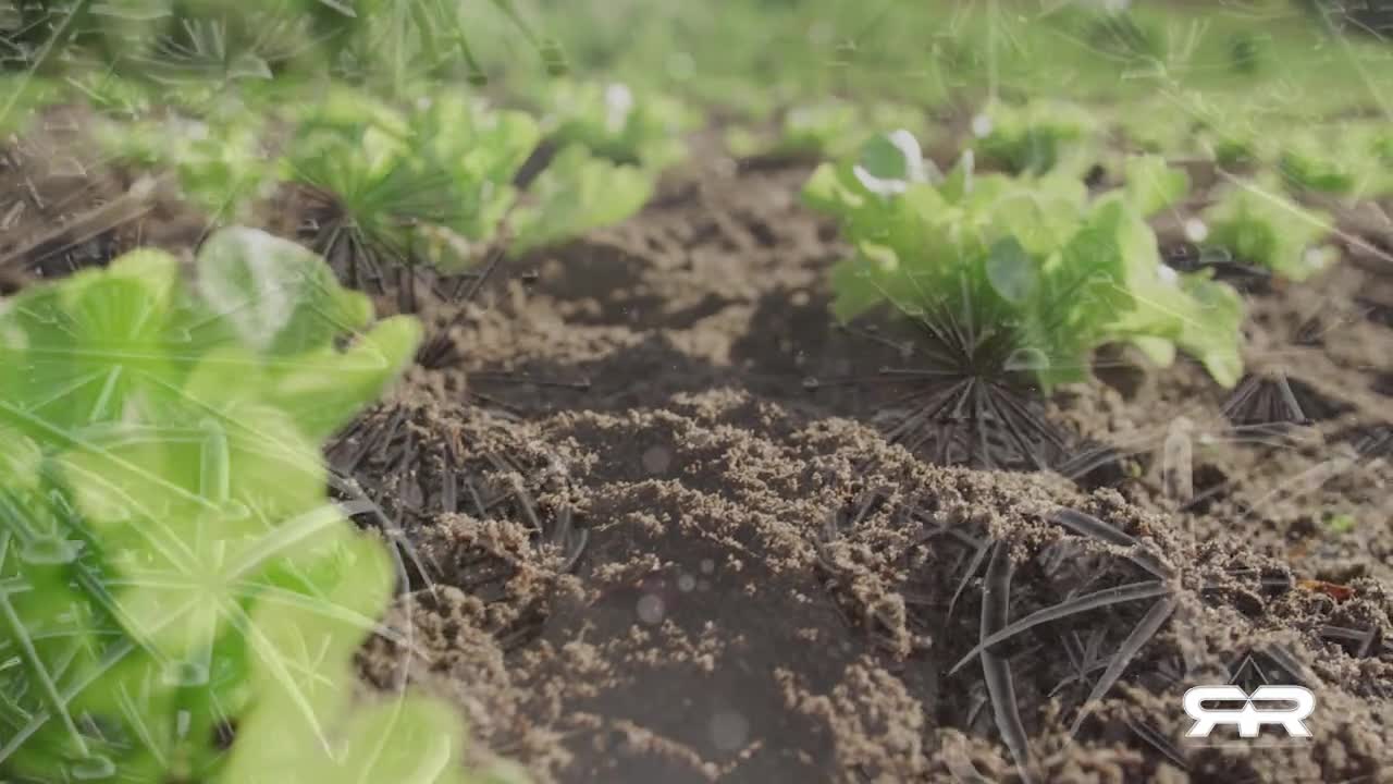 EMERGENCY REPORT_ Nano Particles to Contaminate Entire Food Supply Under Guise of Food Safety