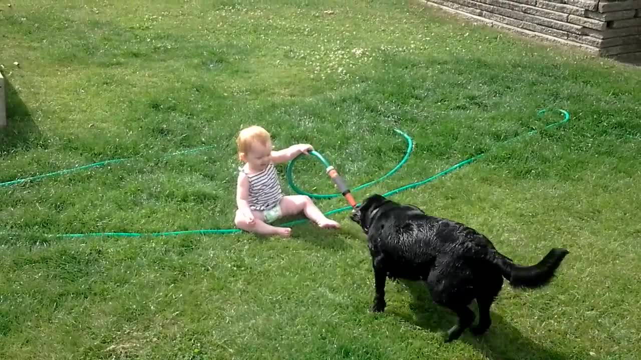 Laughing baby playing with dog and water