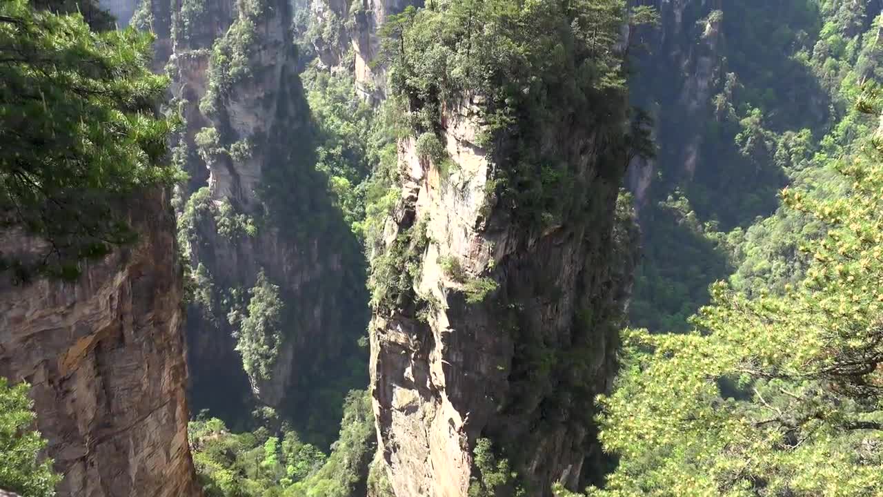 "Avatar" Mountain & Wulingyuan Scenic Area