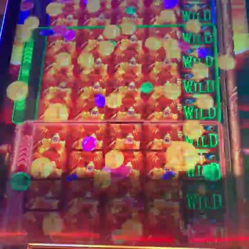 Wolves Rule the Night!