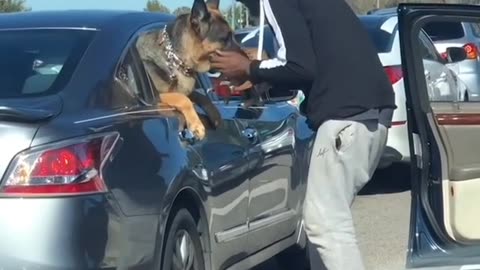 Touching video at a traffic light🤗