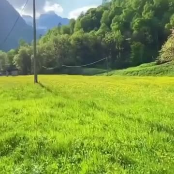 World's best view with best music 🎶