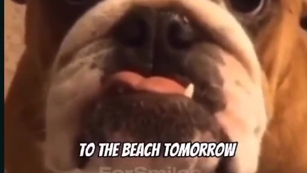 The Nod