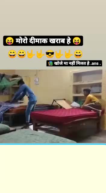 study funny, top video, Dinesh D'Souza, BonginoReport, The Dan Bongino Show, America