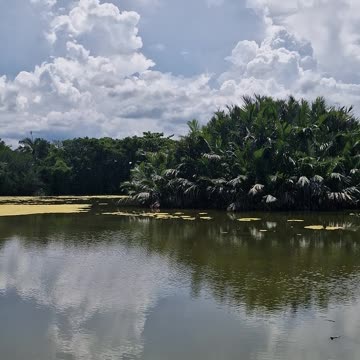 ZSCMST Bird Sanctuary, Zamboanga City, one of the best bird-watching sites in the Philippines.