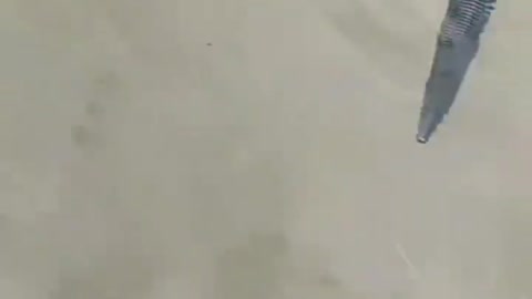 This is a beautiful and charming water-dwelling species