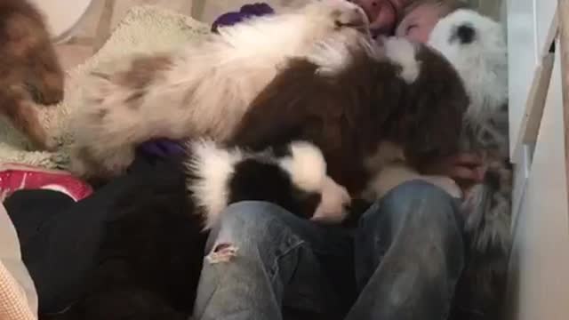 Two kids laugh on bathroom floor while puppies are on top of them