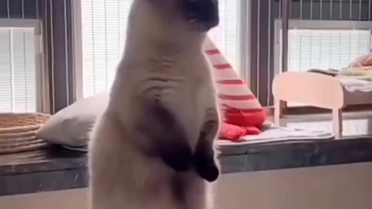Funny