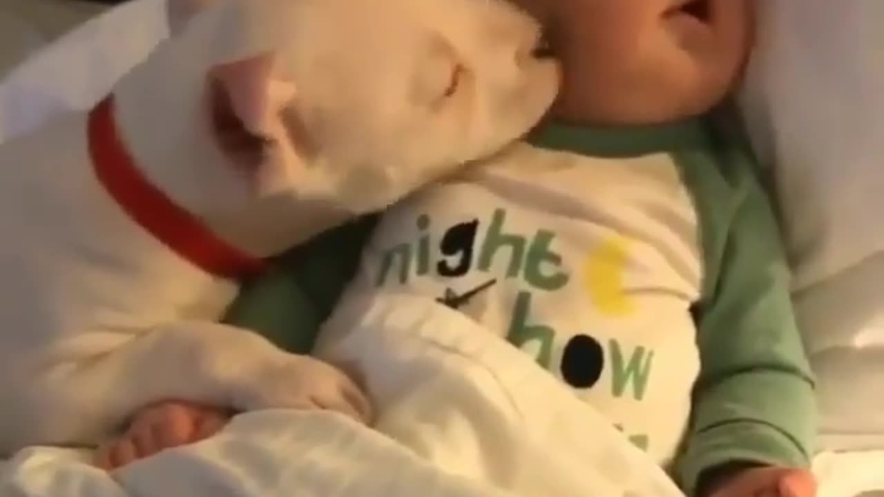 pure loving