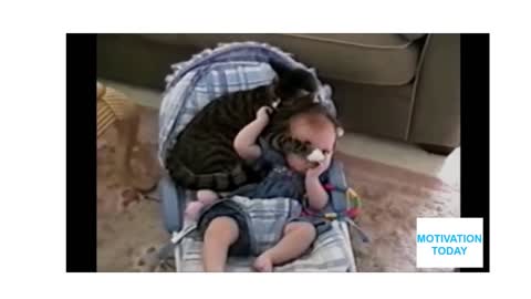 cat and baby cannot be seprated 🥺❤