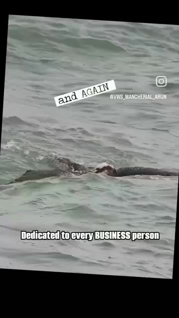 The Power of a Positive Attitude in Business: Key to Success