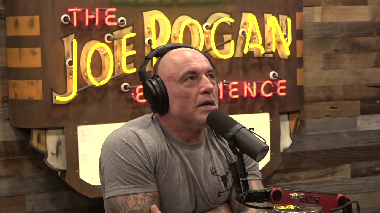 Joe Rogan Experience #2224 - Tim Dillon