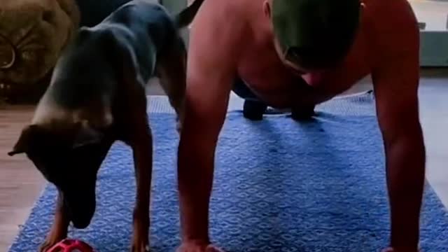 Check out the many displays of adorable pets.(14)