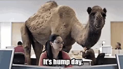 Hump Daaaaaay