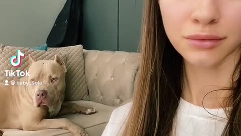 cute girl play with puppy pet