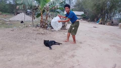 The Man Catch With Funny Dog