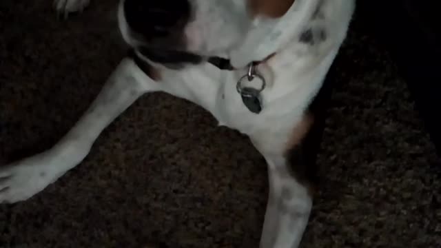 Just A Yawn