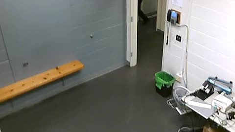 1700HQOB02208ALiveScanRoom_2021-01-06_20h00min04s027ms.mp4