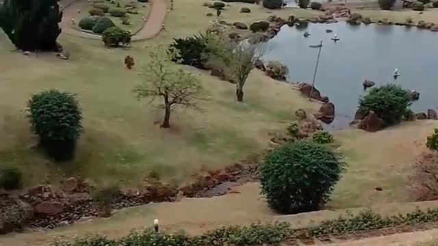 Nature