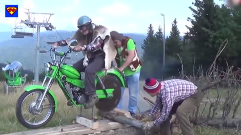 Try not to laugh but laugh