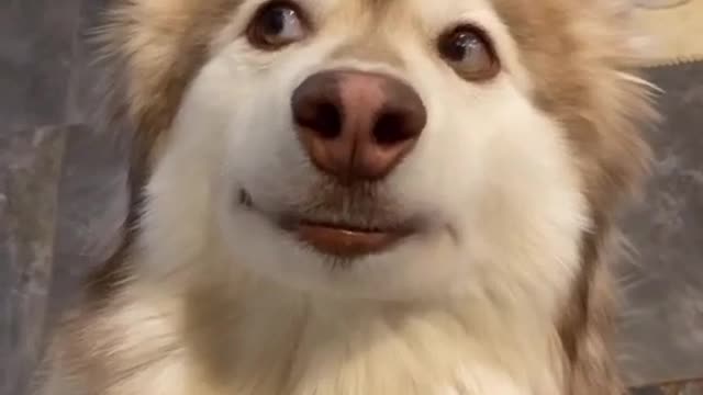 "Look at his eyes"