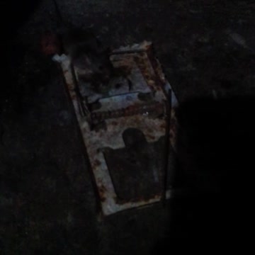 peguei 1 rato pequeno na ratoeira