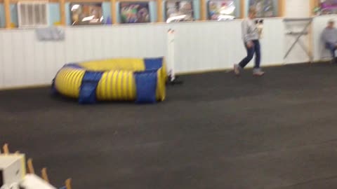 Tanner -- Master JWW Q