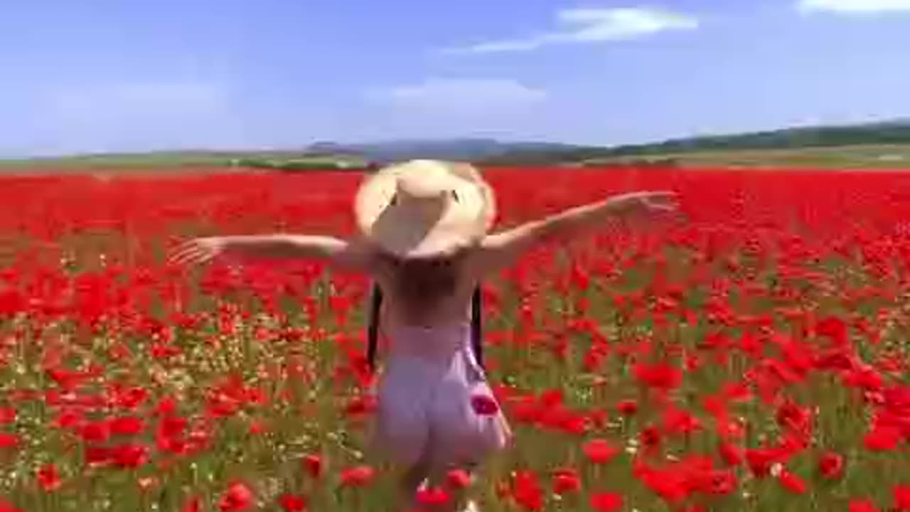 Beautiful poppy fields