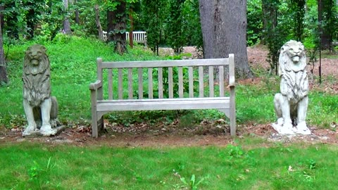 Wood Bench