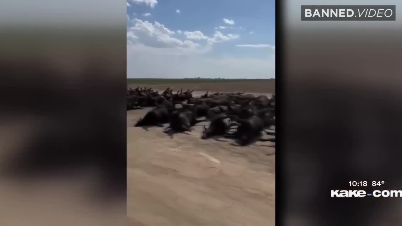 Has America Been Slated For Starvation?