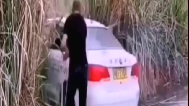 Best Video Funny