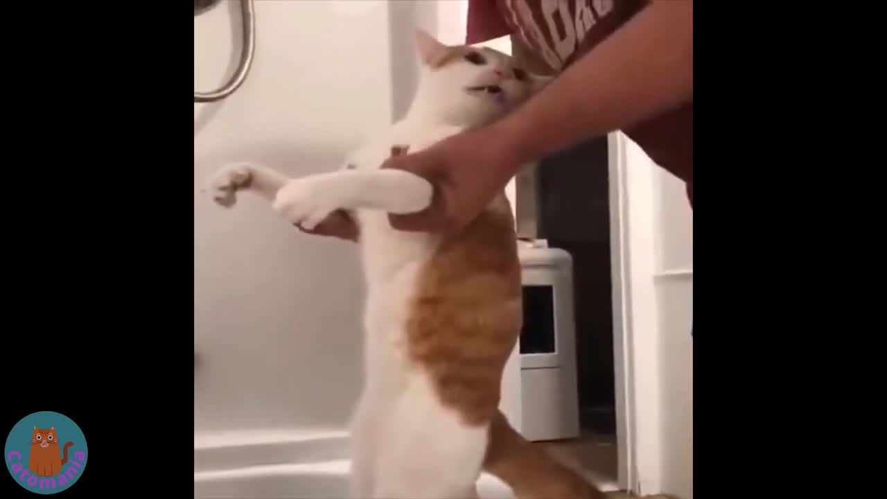 Thats why Animals are cute and adorable