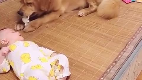 SOO CUTE - SMART DOG AND BABY