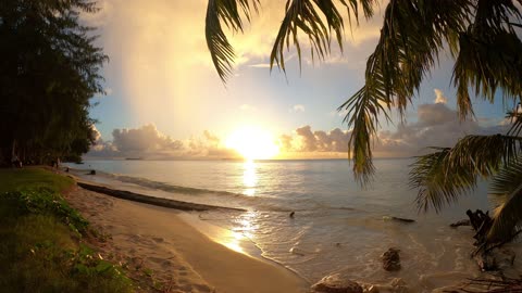 Sunset Saipan Island, Tropical Island Beach 4K