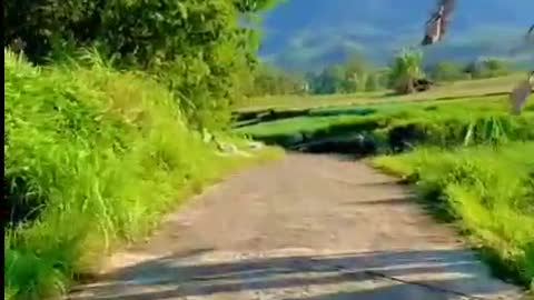 beatiful